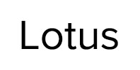 Ремонт стиральных машин Lotus в Юбилейном